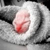Jde se na to!